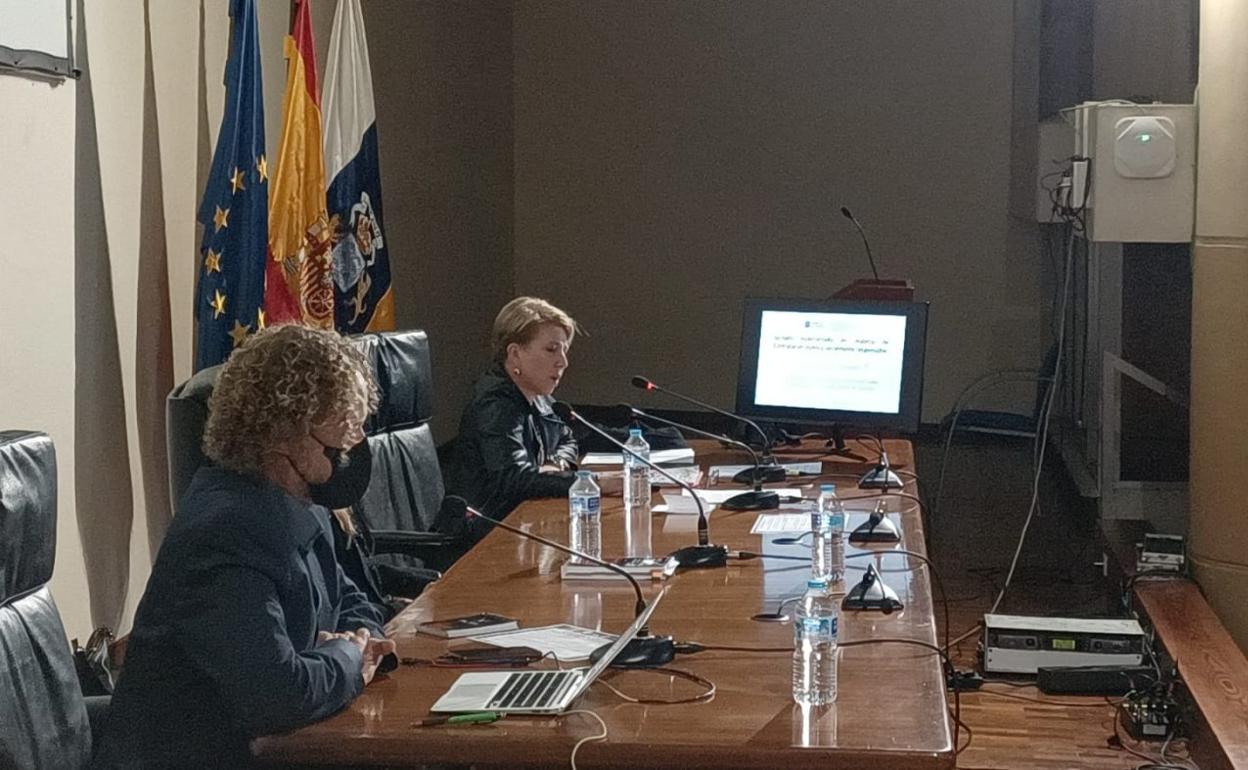 Varios profesionales de la Administración pública asistieron a la formación en Gran Canaria y Tenerife. 