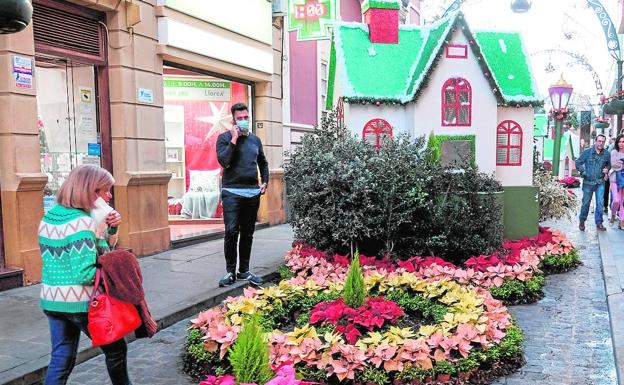 Gáldar se engalana con 10.000 flores y plantas 