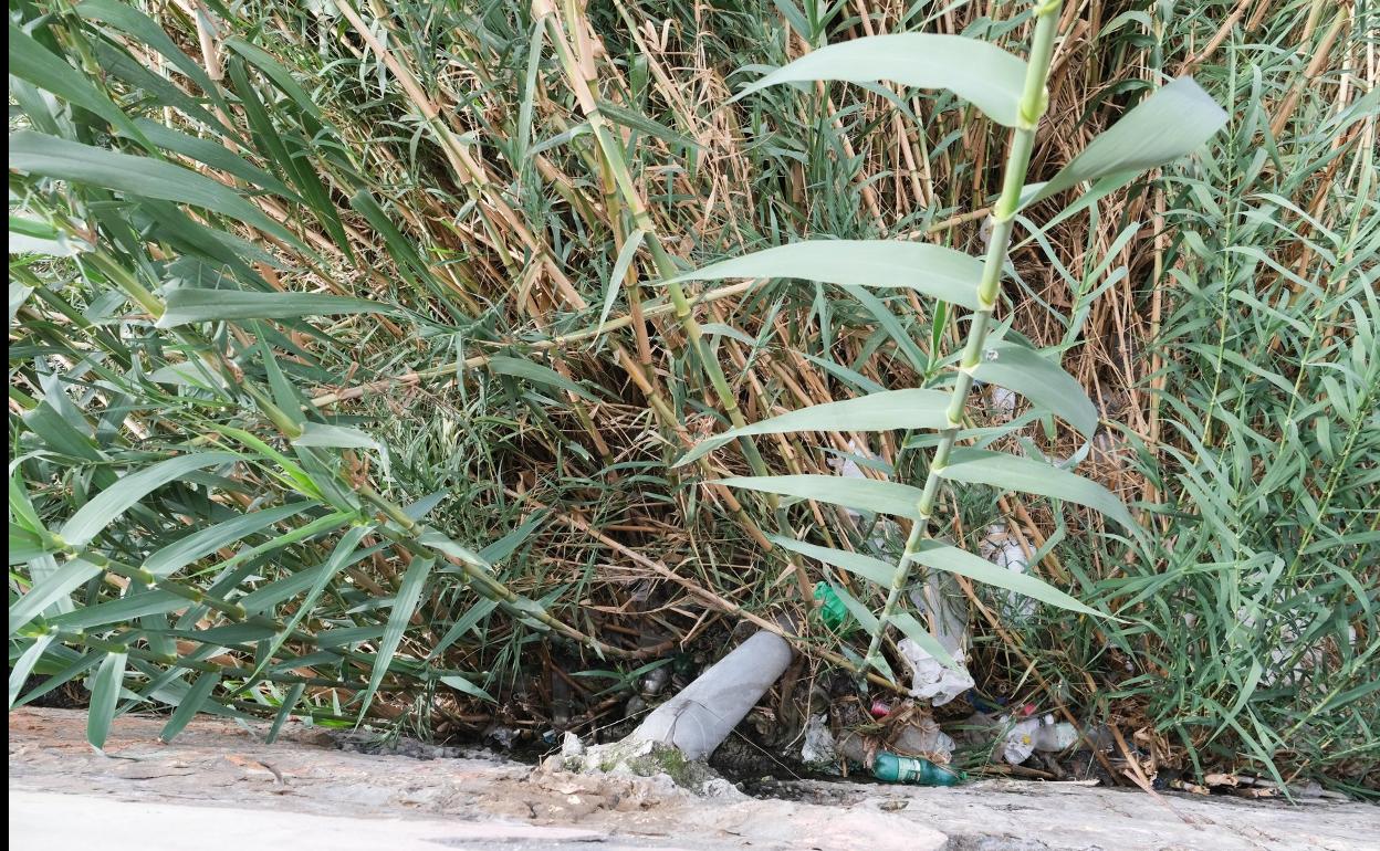 Los vecinos que carecen de conexión a la red de alcantarrillado realizan sus vertidos al risco. 