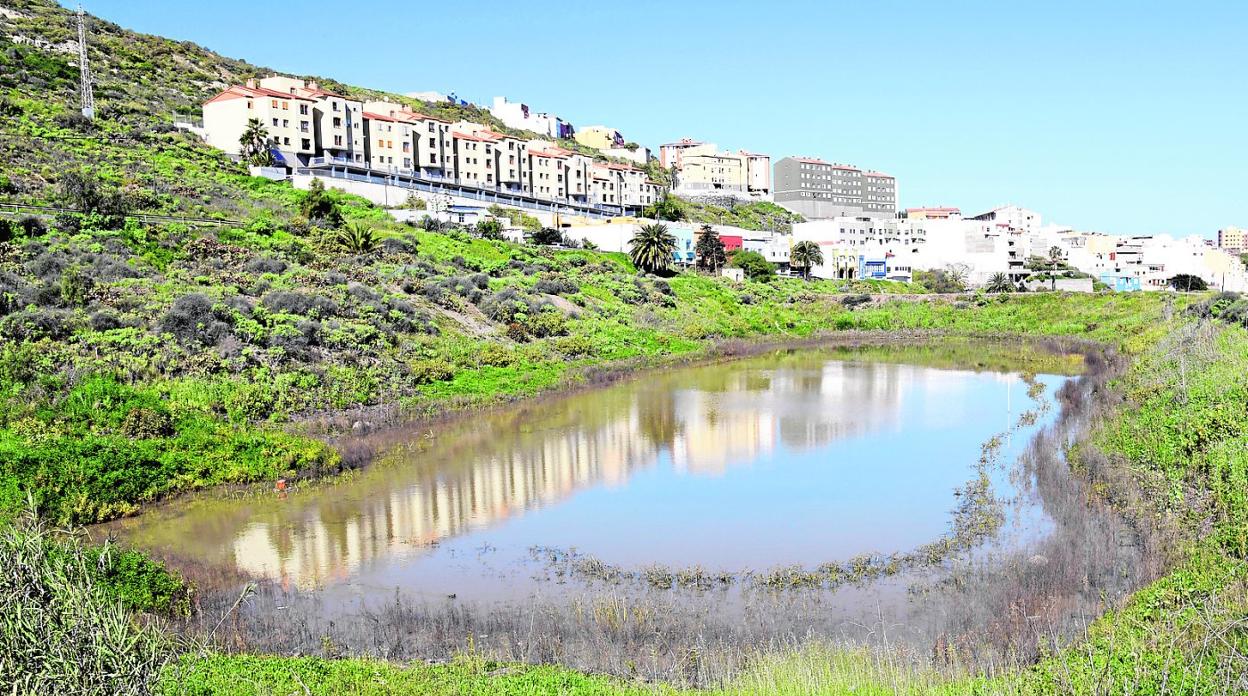 Imagen de archivo de una de las charcas. 