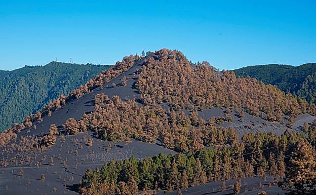 Paisaje tras el final de la erupción. 