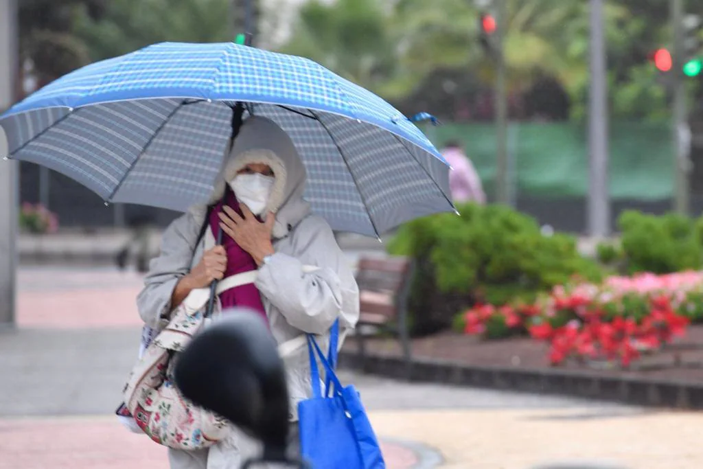 Fotos: La lluvia riega Gran Canaria tras la calima