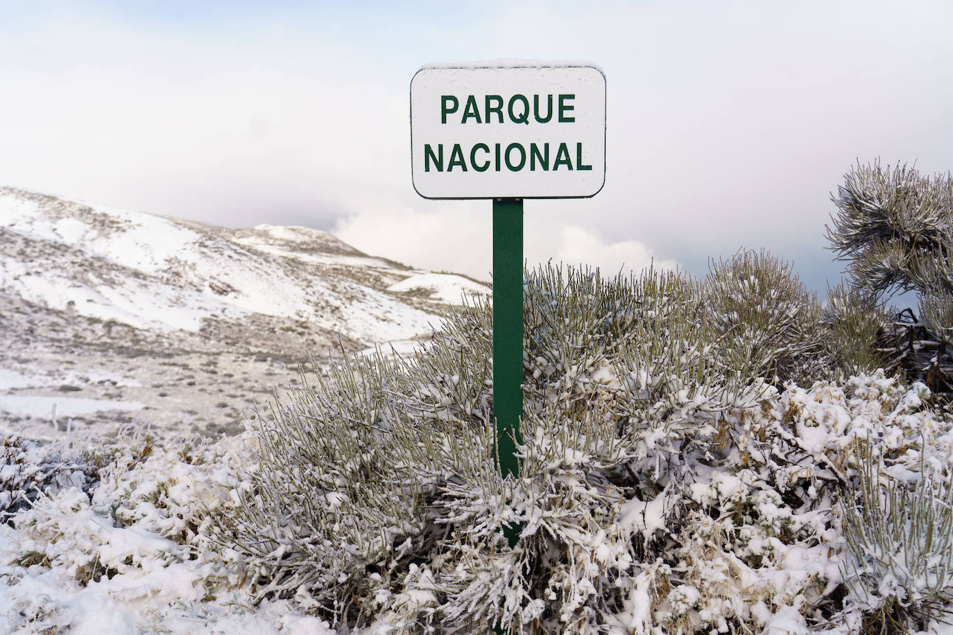Fotos: Los accesos al Teide vuelven a estar abiertos