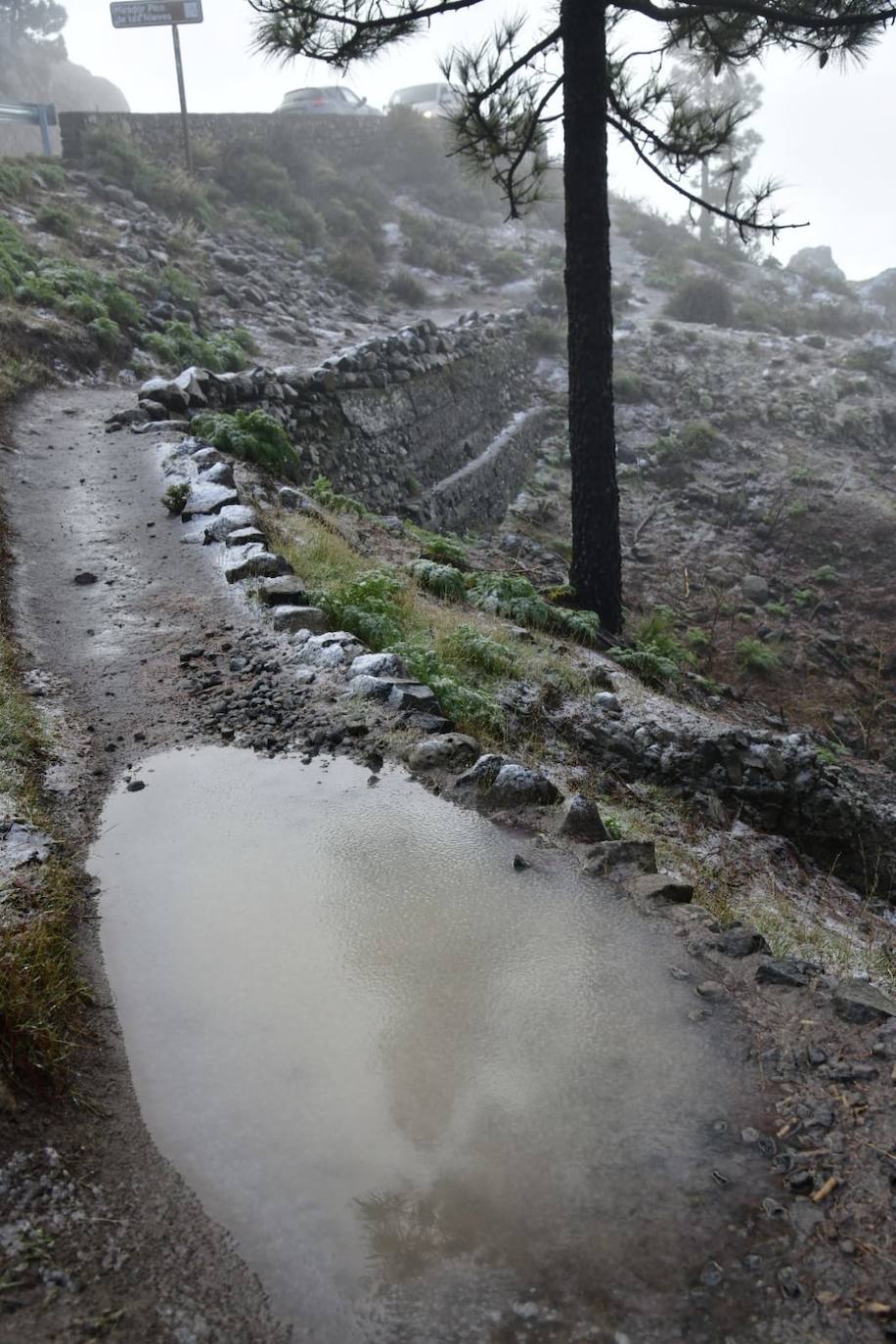 Fotos: Agua nieve en la cumbre de Gran Canaria