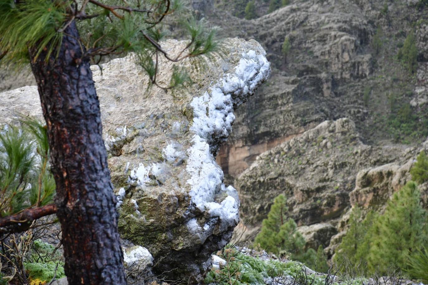Fotos: Agua nieve en la cumbre de Gran Canaria