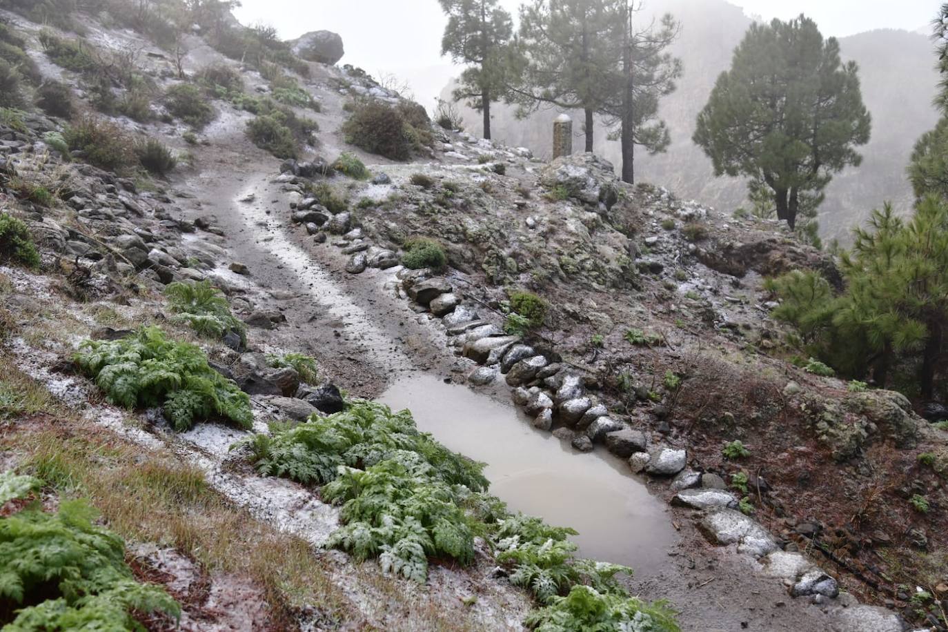 Fotos: Agua nieve en la cumbre de Gran Canaria