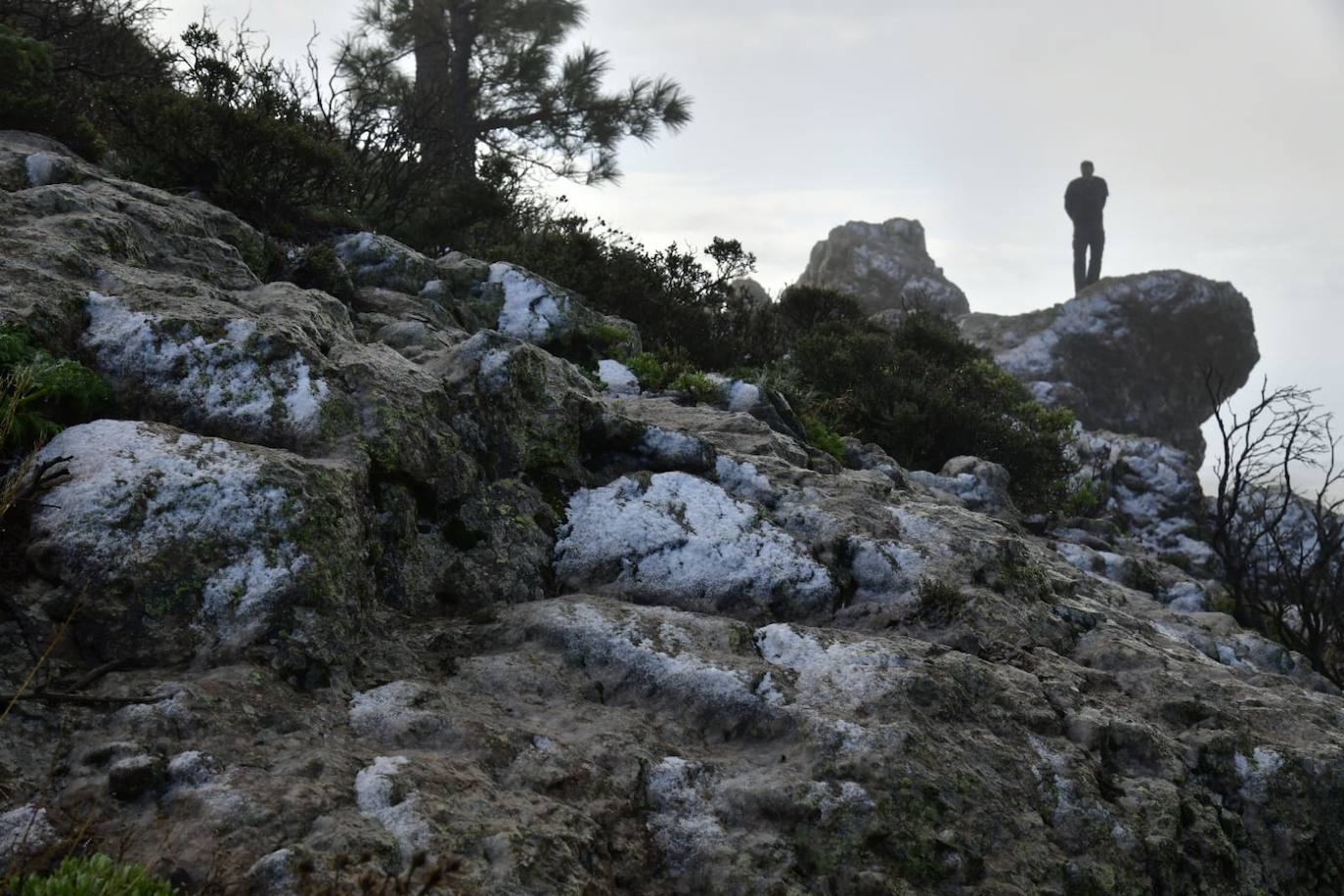 Fotos: Agua nieve en la cumbre de Gran Canaria