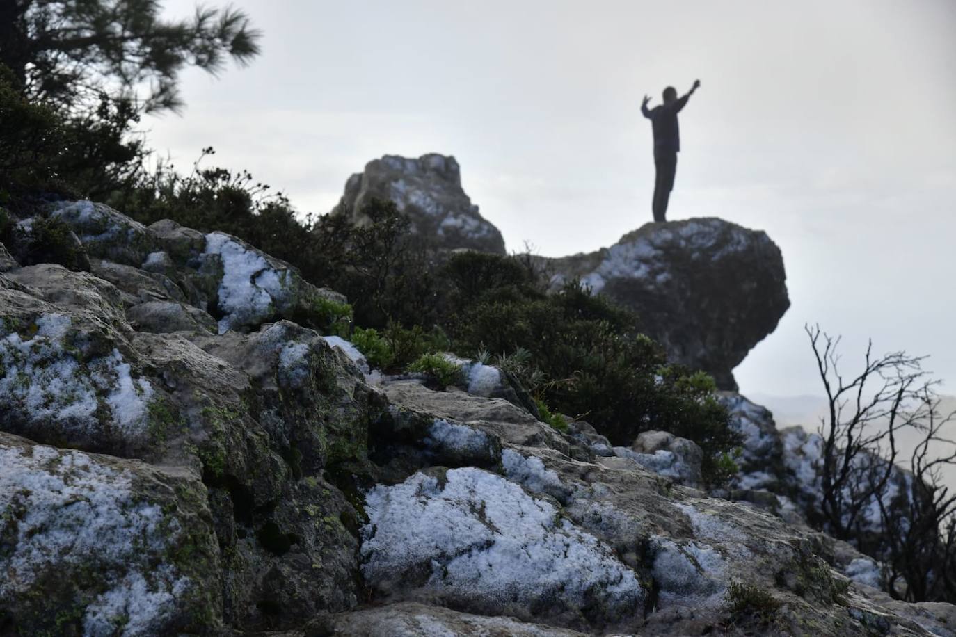 Fotos: Las imágenes más destacas de la semana