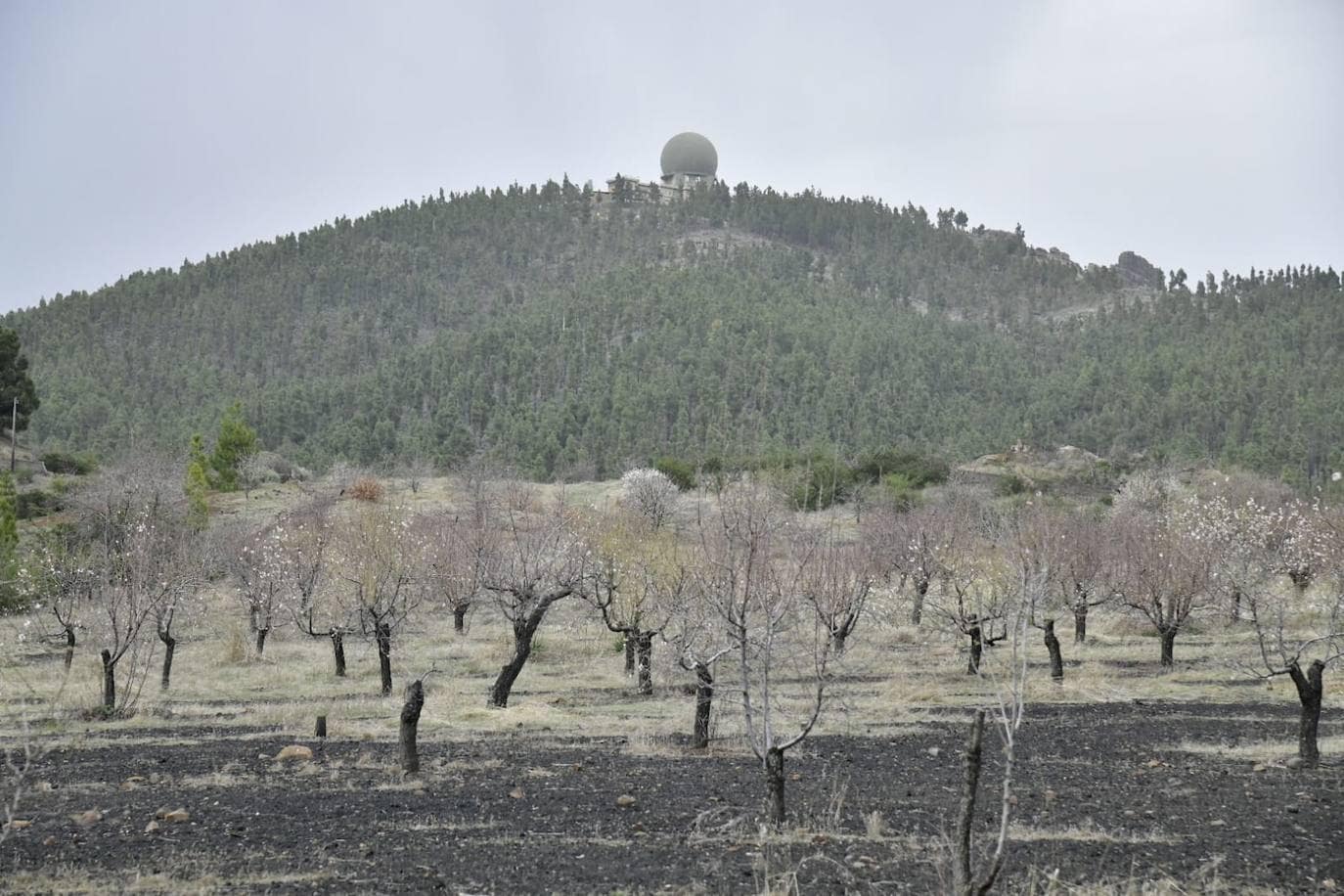 Fotos: Granizo, calima y tormentas en la cumbre de Gran Canaria