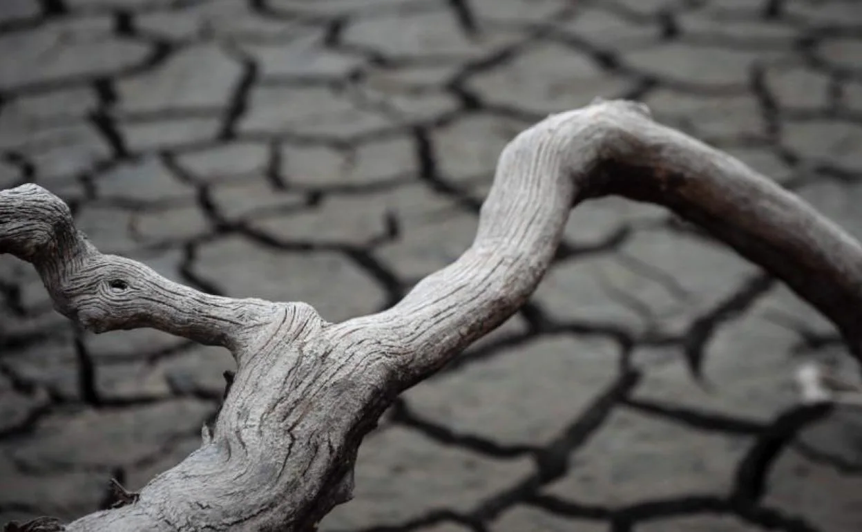 La sequía es uno de los fenómenos que ha causado muertes en Europa en las últimas décadas.
