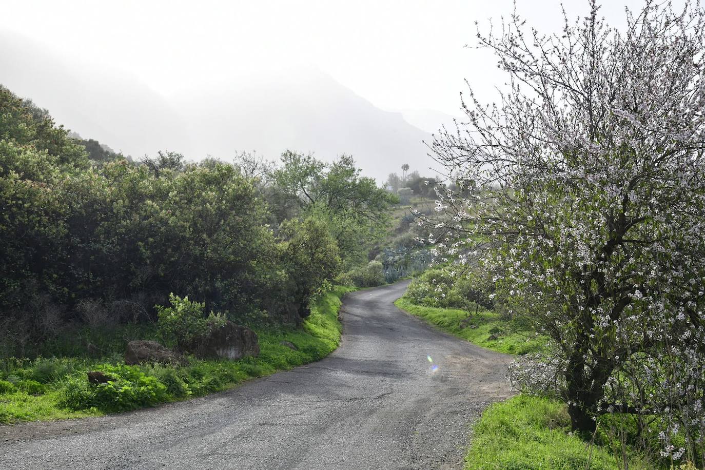 Zona de La Vega de Valsequillo. 