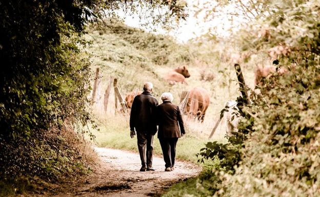 Imagen de pareja de ancianos paseando por el campo; imagen extraída del banco de imágenes de Pixabay 