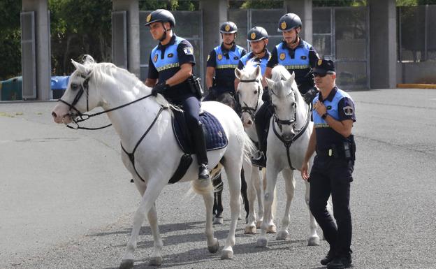 Los cuatro agentes en caballo en la zona de Siete Palmas. 