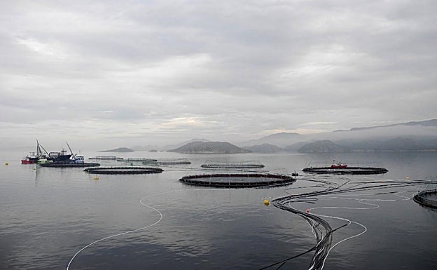 Piscifactoría en aguas noruegas.