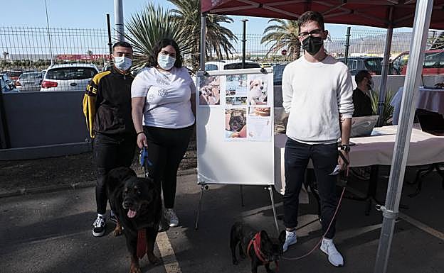 Imagen principal - En la foto superior, el equipo emprendedor que quiere montar un hotel pensado para dueños y mascotas. Sobre estas líneas, vista de la feria en el momento en que Gañán se dririge al público. Y al lado, Manuel A. Rodríguez. 