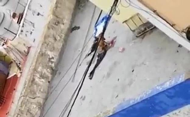 Denuncian a un perro abandonado por la Justicia en Arucas