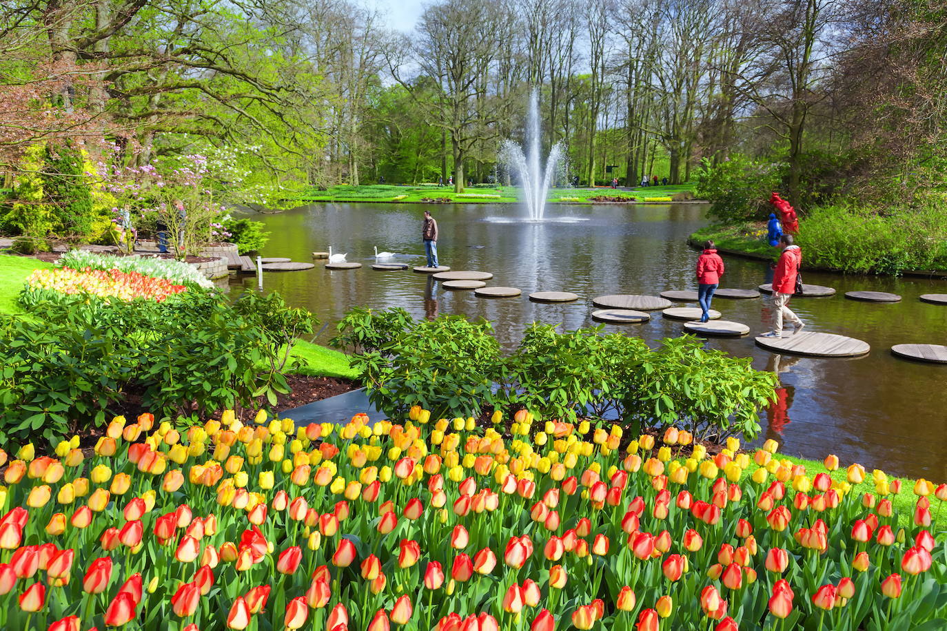 Más tulipanes, esta vez en el jardín de Keukenhof, en los Países Bajos