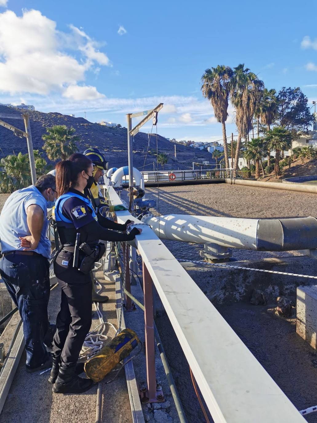 Imagen secundaria 2 - Rescatan a dos perros en una depuradora de Barranco Seco