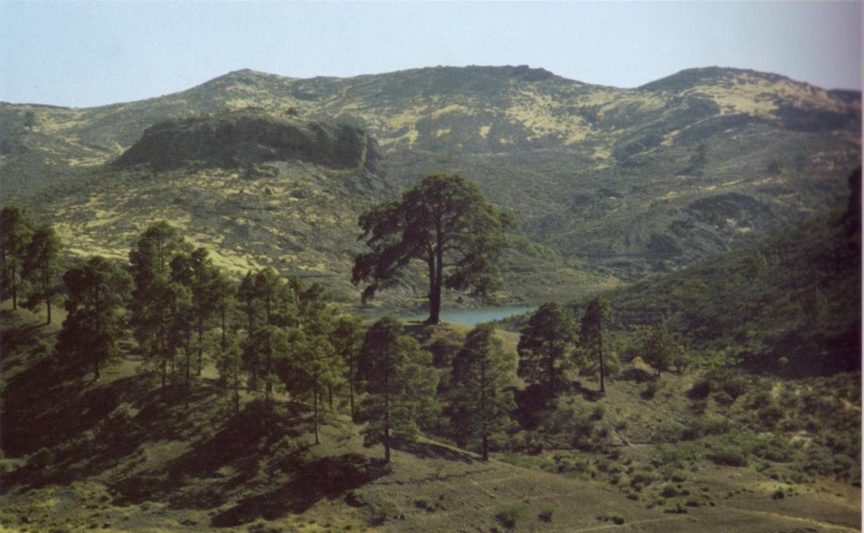 Rescatado un senderista tras sufrir una caída en Mogán