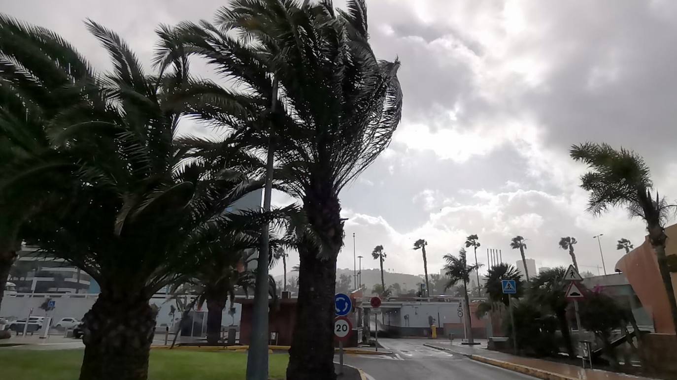Fotos: Fuerte oleaje en Canarias por la borrasca Celia
