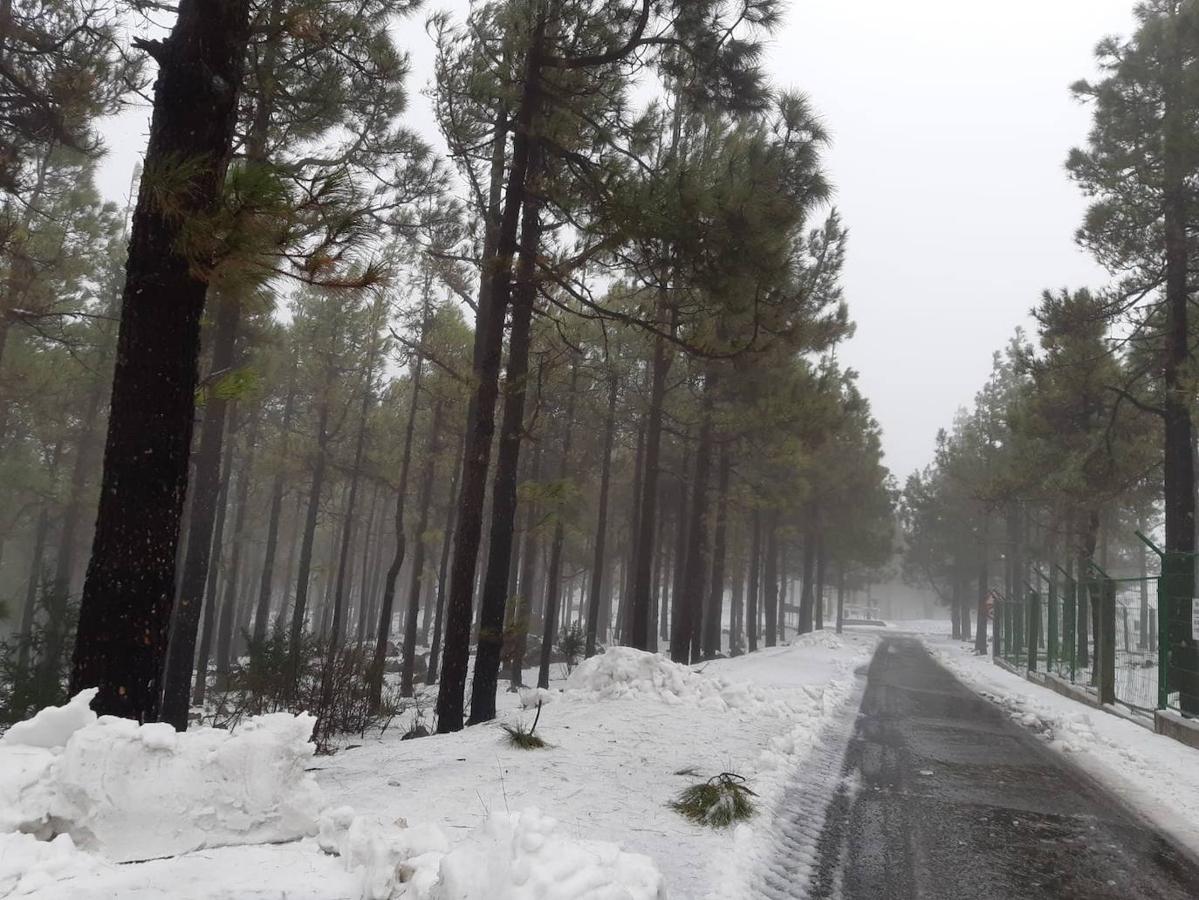 Fotos: Nieve, hielo y frío en la cumbre de Gran Canaria