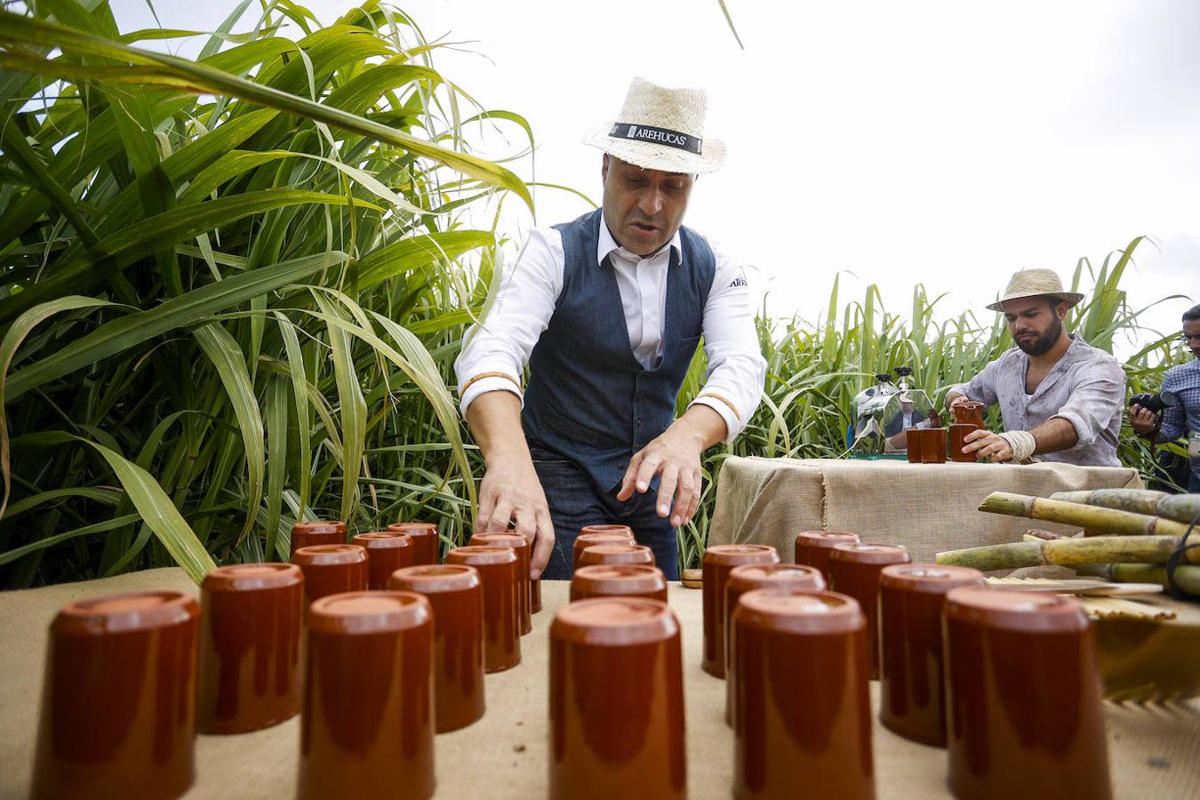 Fotos: Zafra de la caña de azúcar