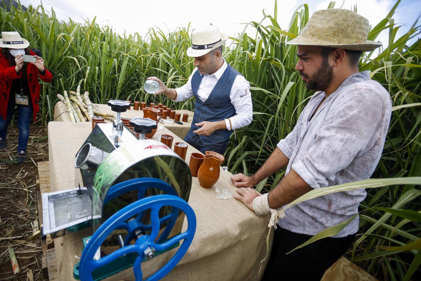 Fotos: Zafra de la caña de azúcar