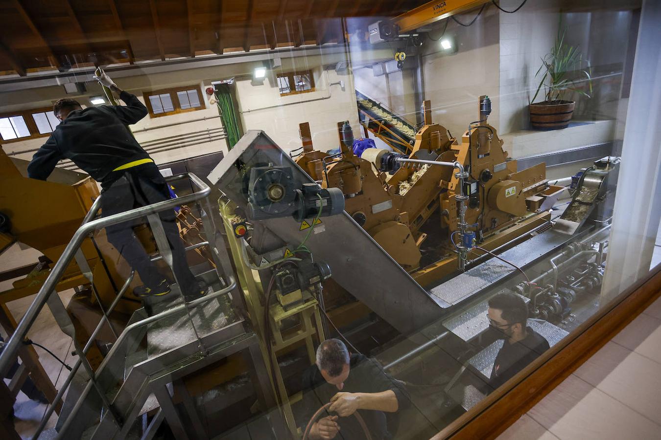 Fotos: Zafra de la caña de azúcar