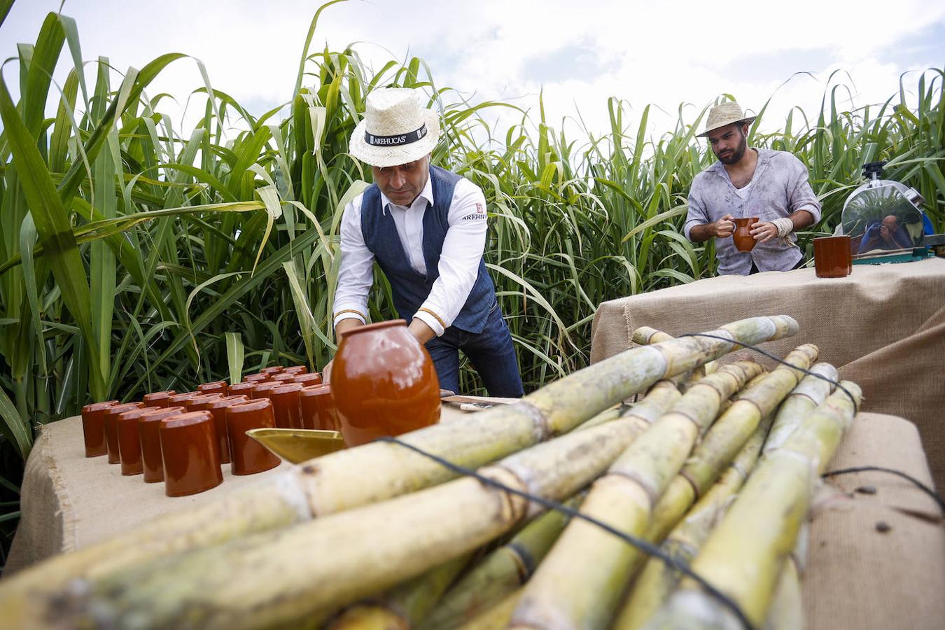 Fotos: Zafra de la caña de azúcar