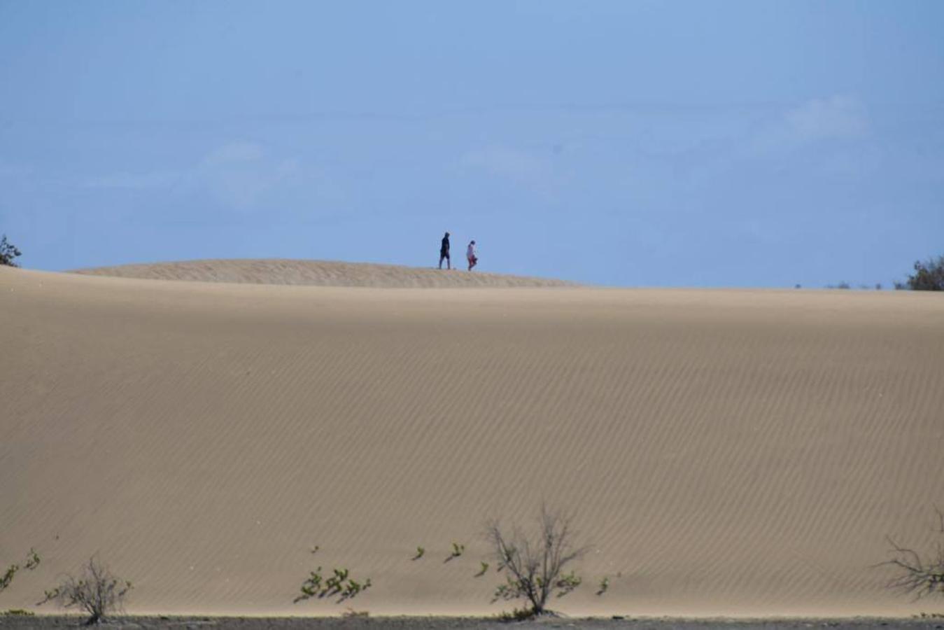 Fotos: Celia da paso a calima y buen tiempo en el sur