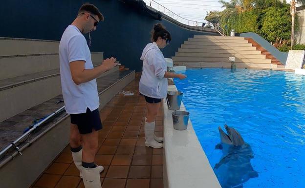 Loro Parque recibe un reconocimiento por sus avances en investigación