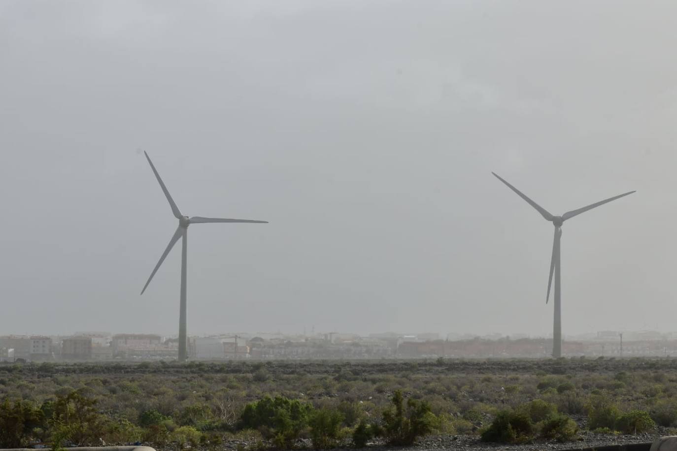 Fotos: La calima se despide de Canarias