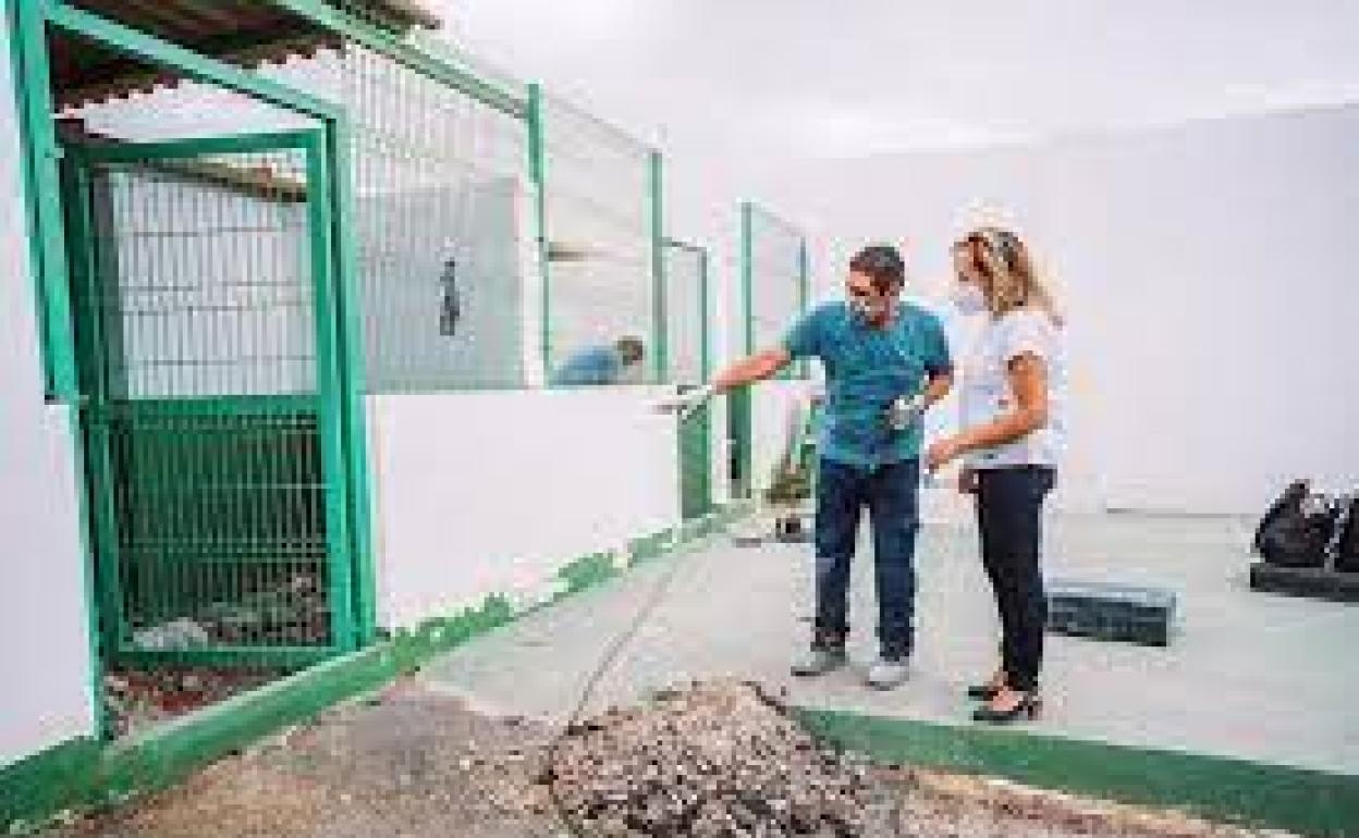 Obras recientes en las instalaciones para canes en la capital. 