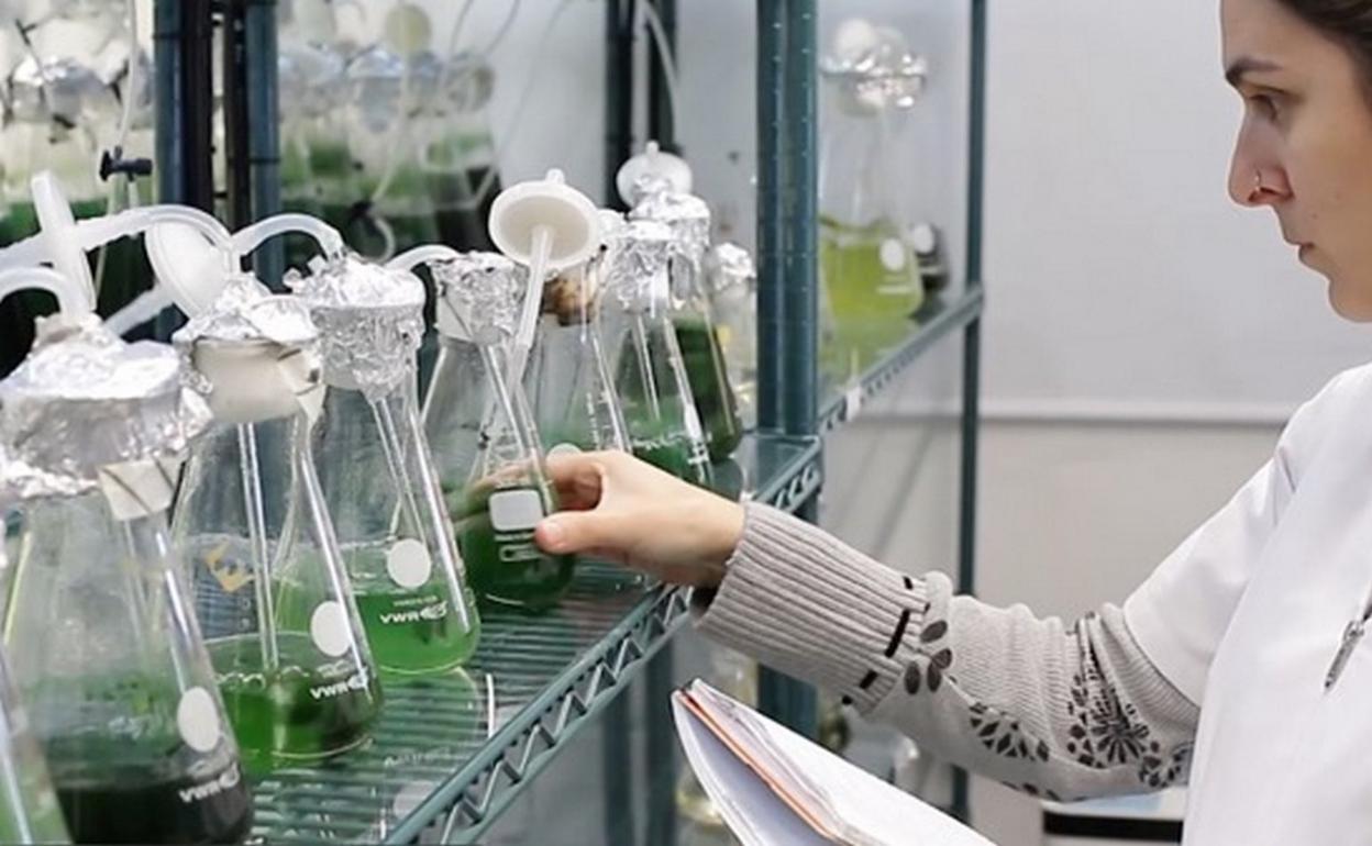 Imagen de archivo de una investigadora en la ULPGC. Las dos universidades públicas canarias piden un pacto por la I+D en Canarias. 