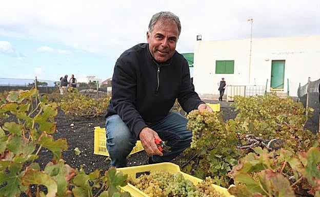 Paco García Reyes, viticultor. 