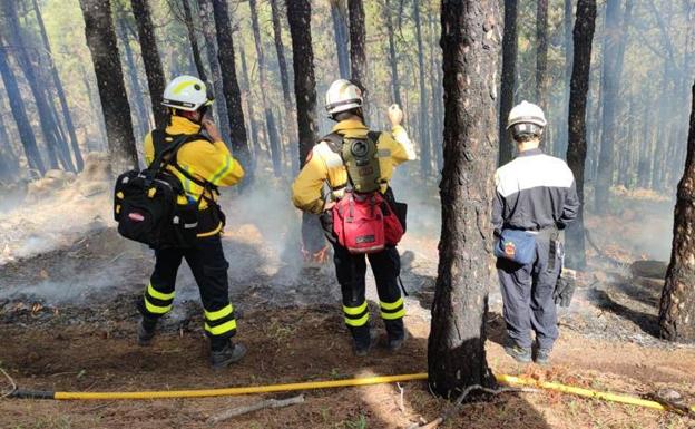 Equipos Presa, un pelotón de la UME y bomberos de la Comunidad de Madrid participan en las quemas. 