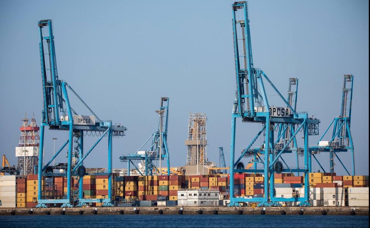 MSC afloja su actividad en La Luz al remitir la covid pero Ibarra confía en que remonte a medio plazo