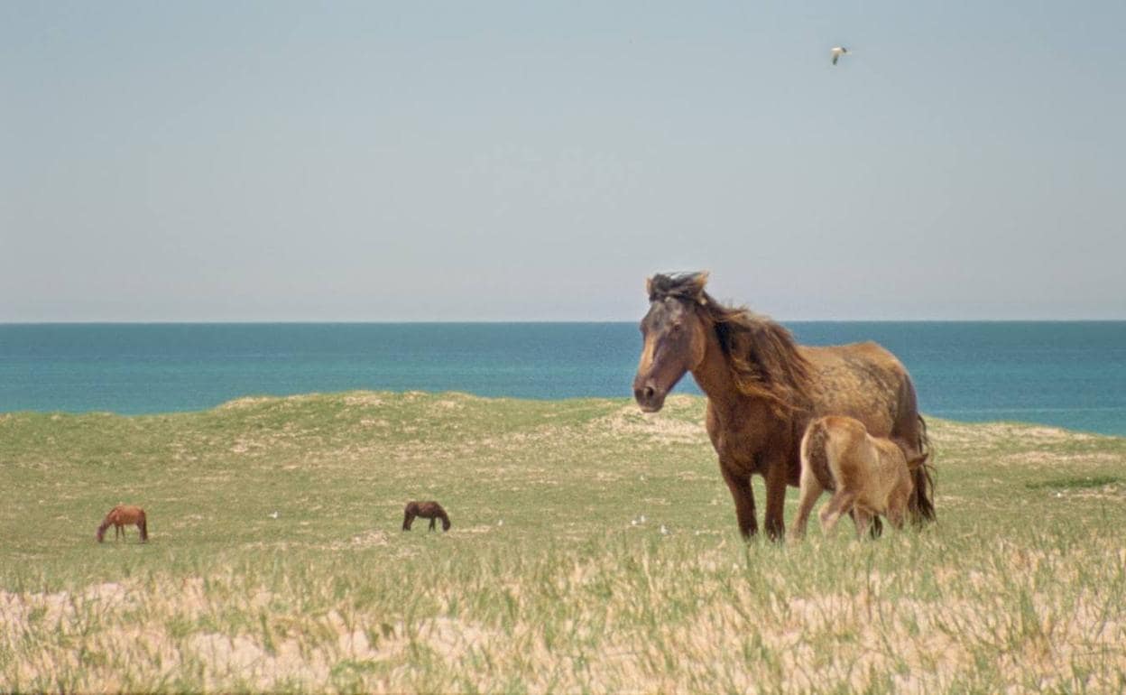 Un fotograma del filme. 