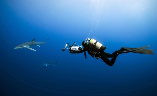 Grabación de la vida submarina.