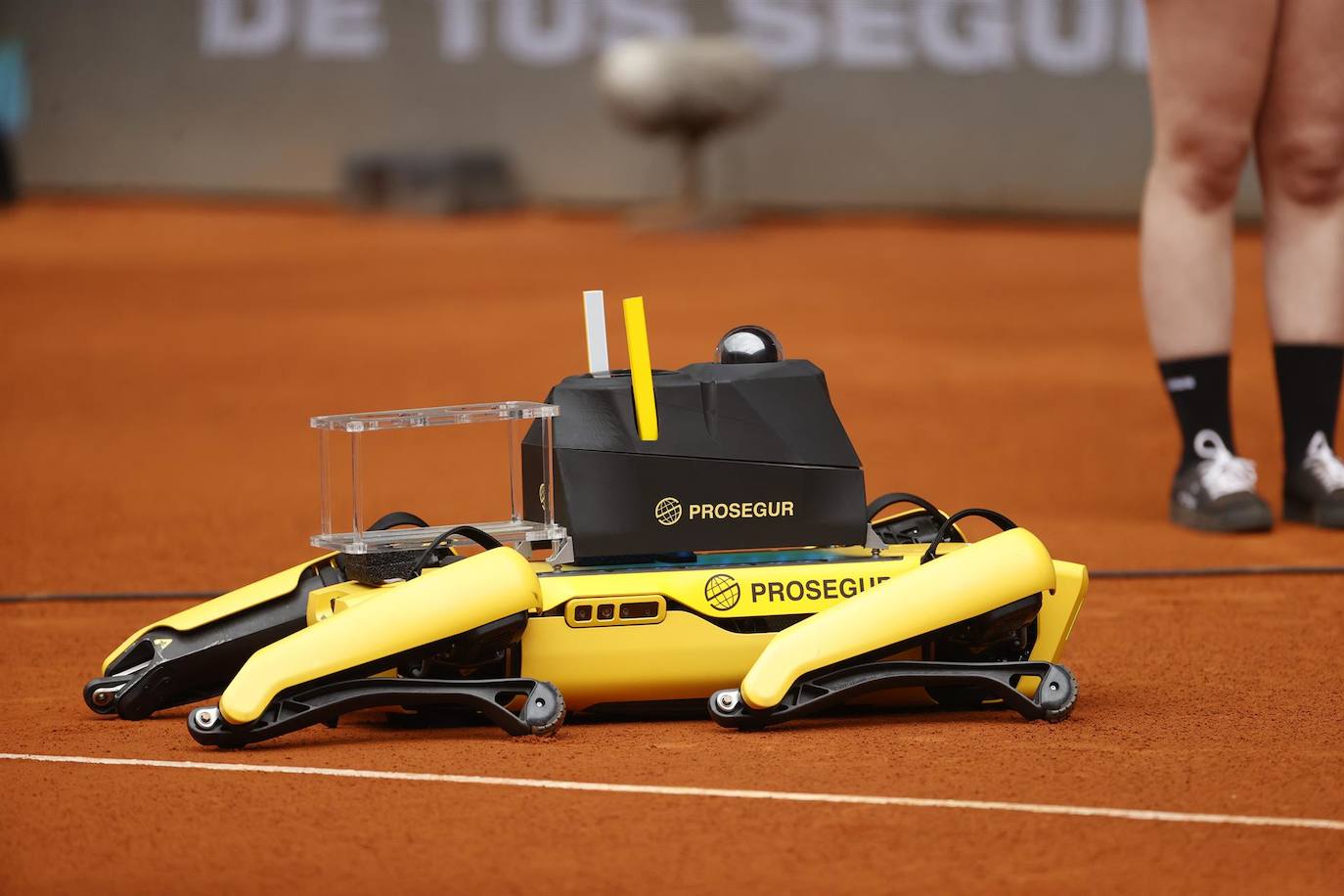 Fotos: Los momentos más destacados del Open Mutua Madrid