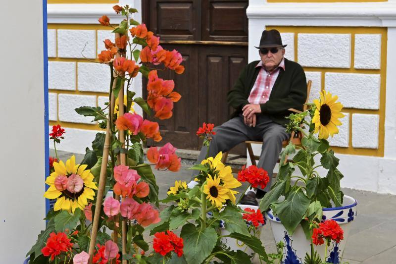 Fotos: Más de 11.000 flores y plantas dan color Gáldar