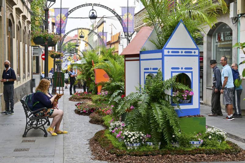 Fotos: Más de 11.000 flores y plantas dan color Gáldar