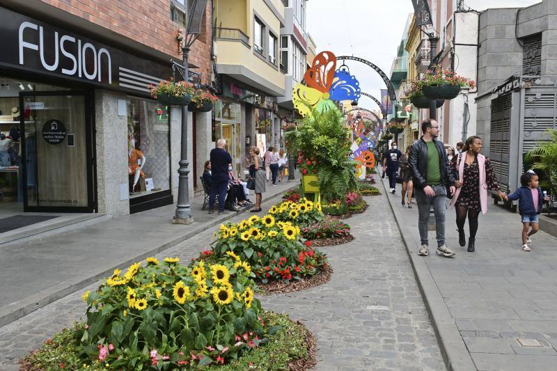 Fotos: Más de 11.000 flores y plantas dan color Gáldar