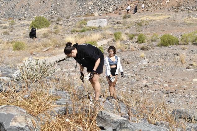 Fotos: Alumnado del IES Josefina de la Torre le dan una batida al barranco del Polvo