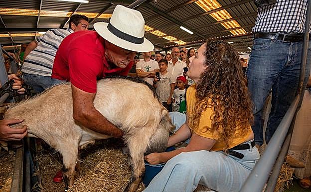 Una de las concursantes del concurso de ordeño manual. 