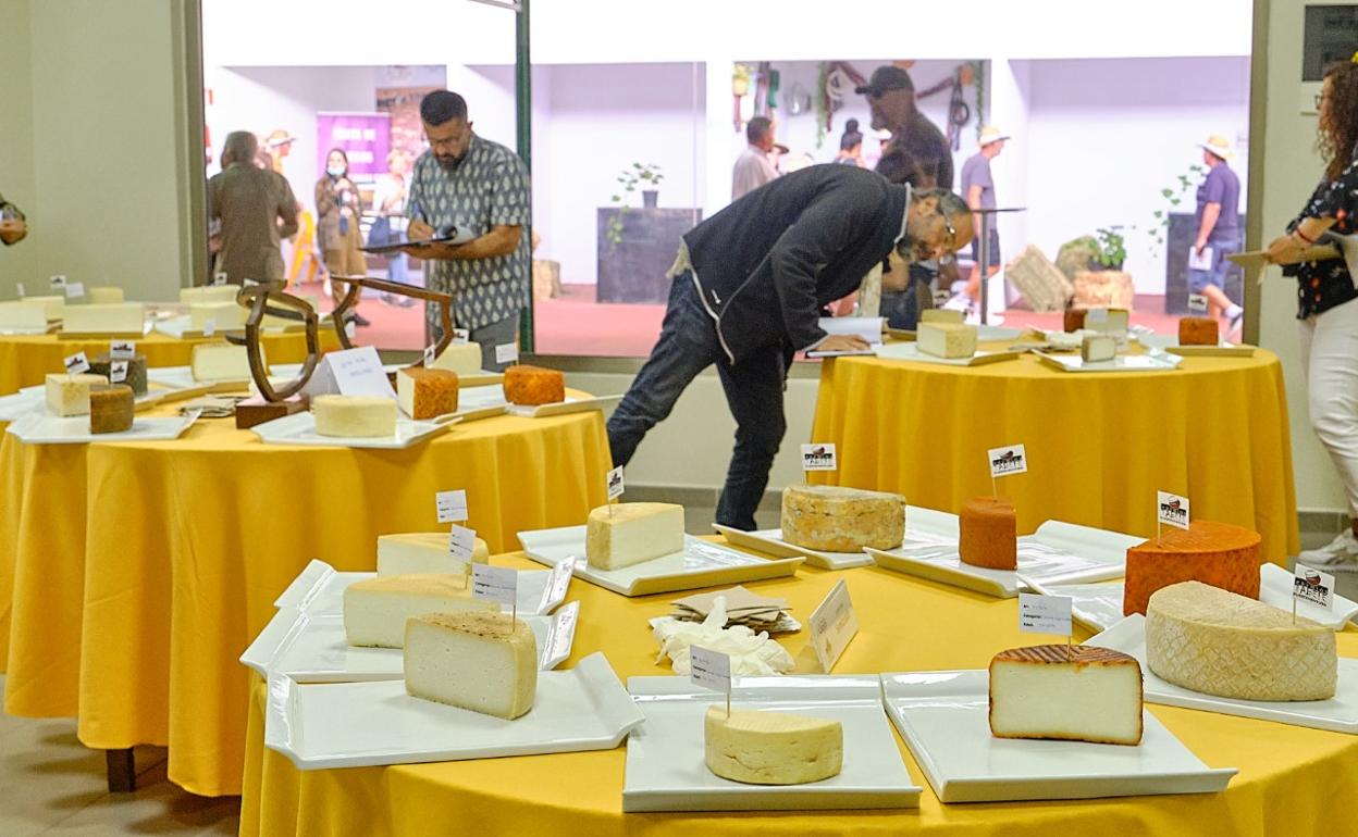 Quesos que se presentaron al certamen, que se celebró en Feaga 2022. 