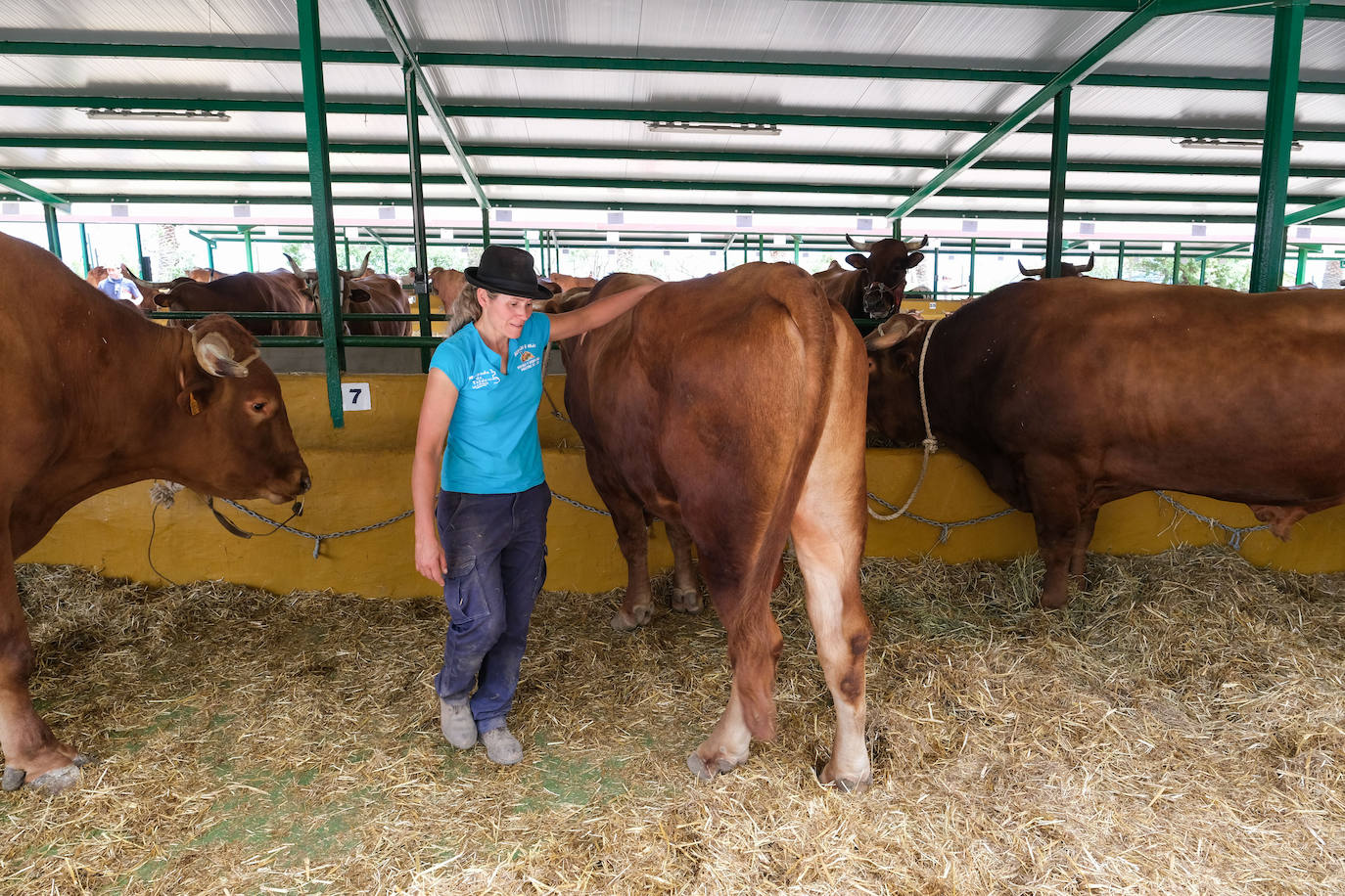 Fotos: Feria de Ganado en Gran Canaria