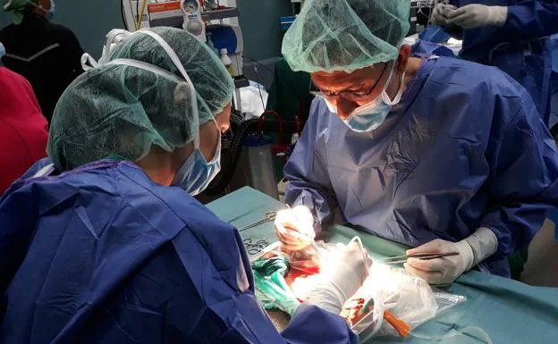 Canarias realizó 78 trasplantes de órganos de enero a mayo