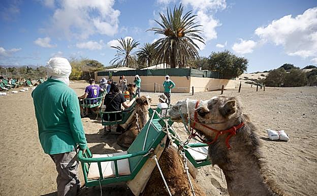Vista de las instalaciones que, según Costas, deben ser retiradas. En primer lugar, la caravana a punto de salir. 