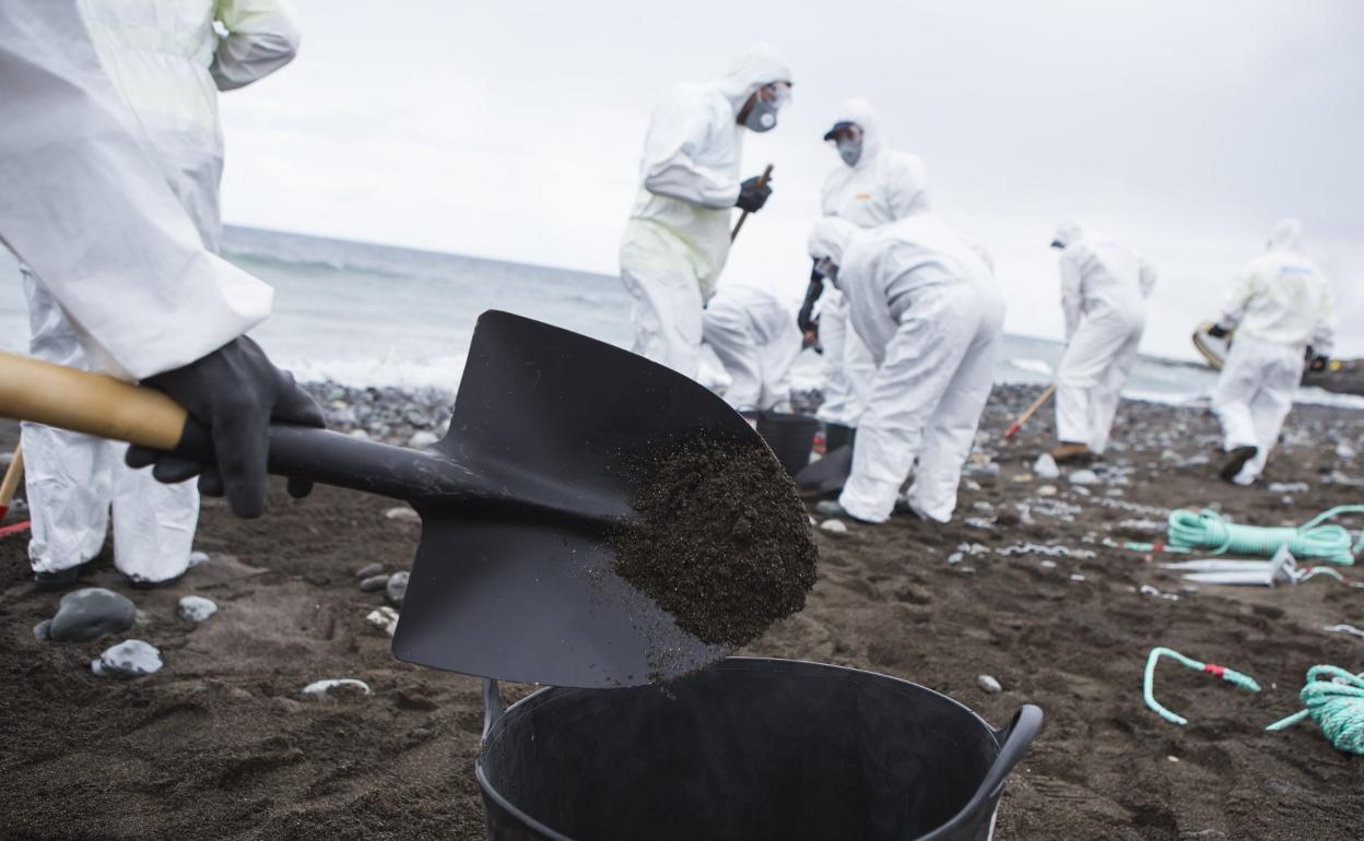 Operativo de limpieza en una playa. 